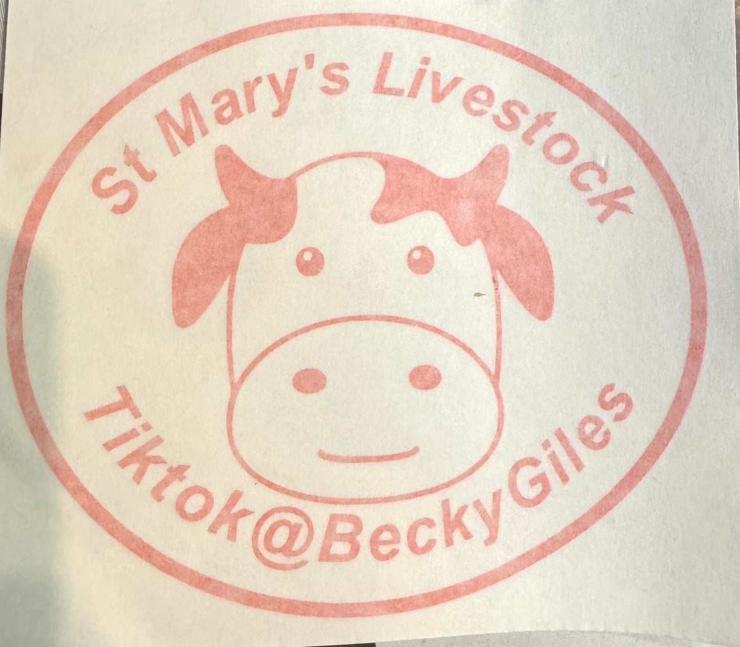 BG St Marys Livestock Cow sticker