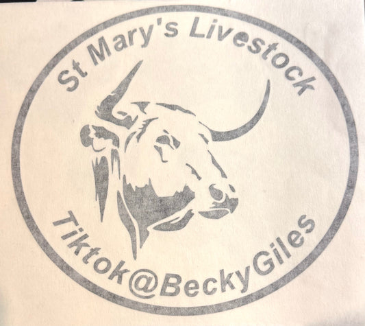 BG St Marys Livestock Bullhead sticker